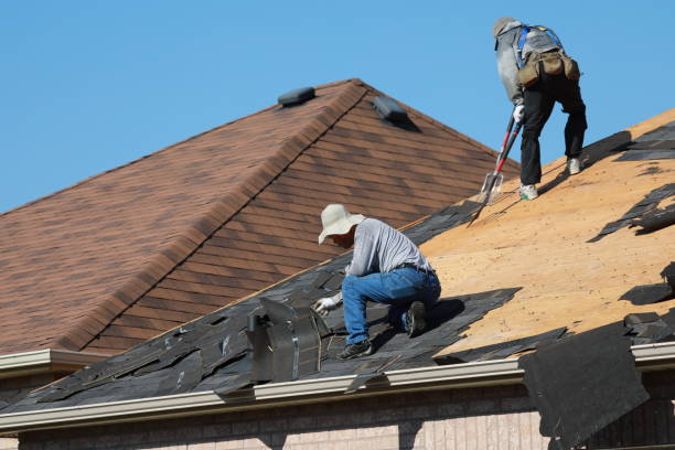 Best Roof Insulation Installation  in Byron Center, MI