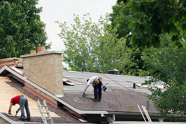 Best Roof Moss and Algae Removal  in Byron Center, MI